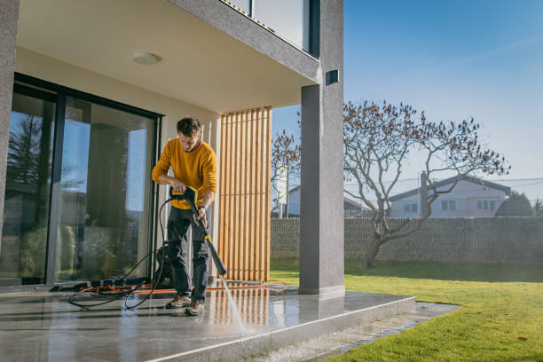 Best Pre-Holiday Cleaning  in Lorado City, CO
